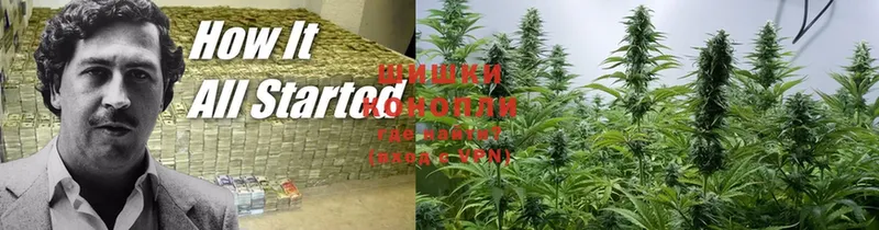 МАРИХУАНА White Widow  Ленинск 